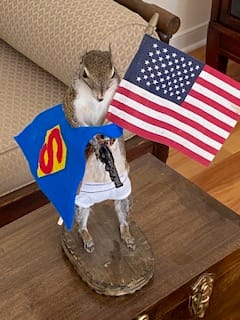 Democratic Party Fan Fiction