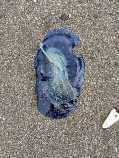 A Little Nature, A Little Culture